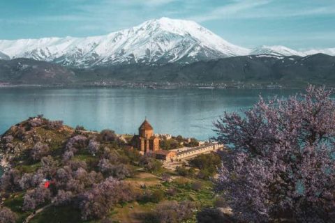 تور وان بلک فرایدی